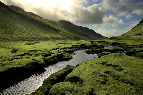 Spring in the Scottish Highlands - Matt Tilghman Photography