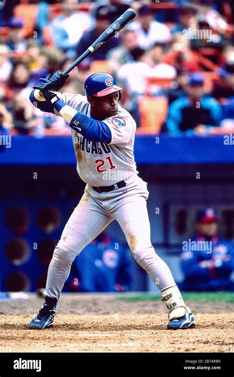 Sammy Sosa, Chicago Cubs during the record breaking season in 1998 Stock Photo - Alamy