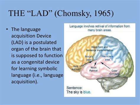 Linguistic oriented theories,behaviorism and innatism