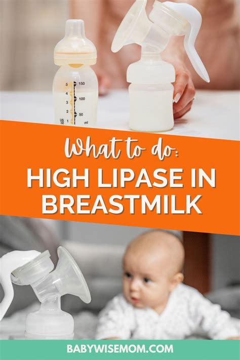 High Lipase in Breastmilk: Why and What To Do - Babywise Mom