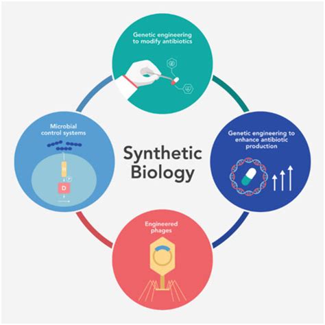 Frontiers | Synthetic Biology Tools for Engineering Microbial Cells to Fight Superbugs