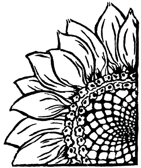 Woodle Doo: Sunflower Linocut