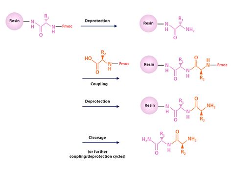 Peptide Sythesis - Technical Notes - CortecNet