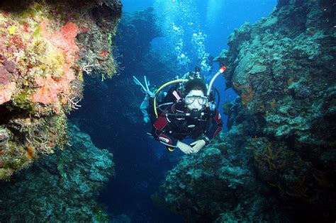 Dive Paradise Cozumel Mexico Address and Map