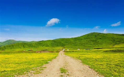 草原风景桌面壁纸_梦幻图片 - 随意贴