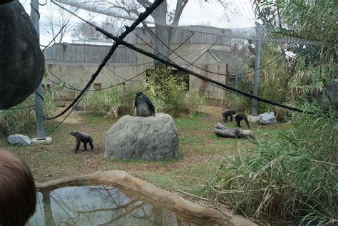 Chattanooga Zoo - Review, Details, and Pictures