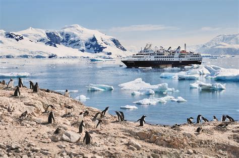 Antarctica cruises are expected to operate in the 2021:22 season, starting in October. Here ...