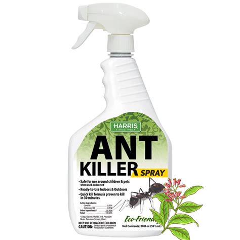 Best Indoor Ant Killer Spray for Your Home