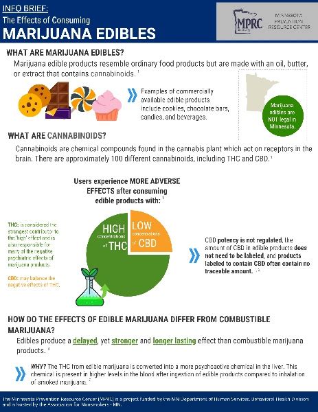 Info Brief: Effects of Consuming Marijuana Edibles – Minnesota ...