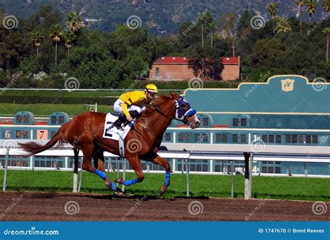 Thoroughbred Horse Racing stock photo. Image of reins - 1747670