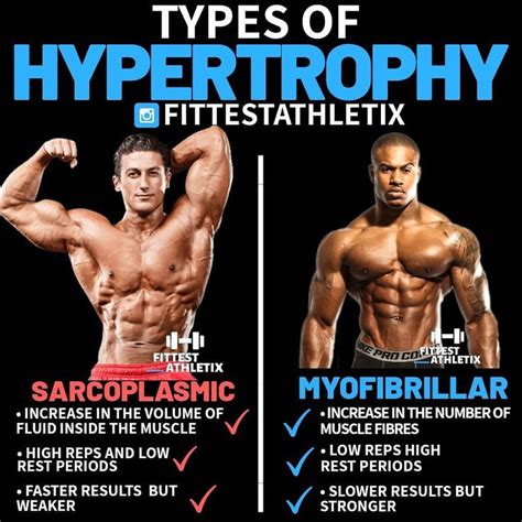 Sarcoplasmic Hypertrophy Workout Routine