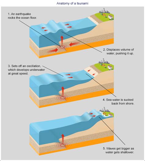 How big was the biggest tsunami ever? › Ask an Expert (ABC Science)