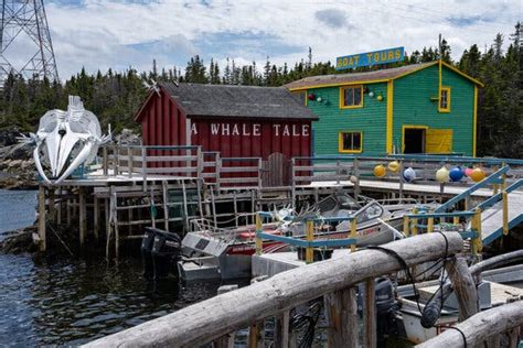 Travel: A Tour Of ‘Iceberg Alley’ Off Newfoundland | Boomers Daily