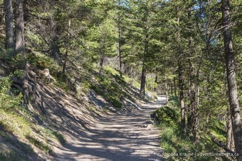 Tunnel Mountain Hike- Guide to Hiking Tunnel Mountain Trail