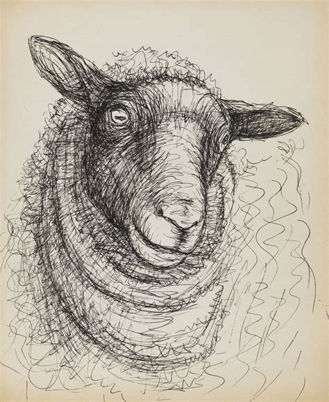 Sheep Face Drawing at GetDrawings | Free download