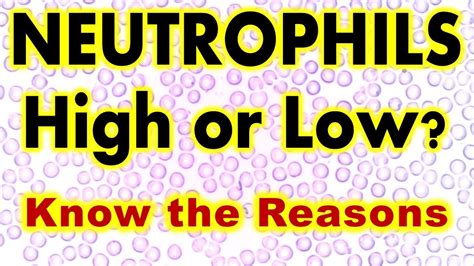 High Absolute Neutrophil Count – Telegraph