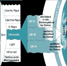 Ozone layer overview - Canada.ca