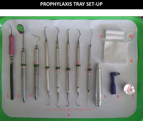 10 Basic Prophylaxis Tray Setup | Dental assistant study guide, Dental ...