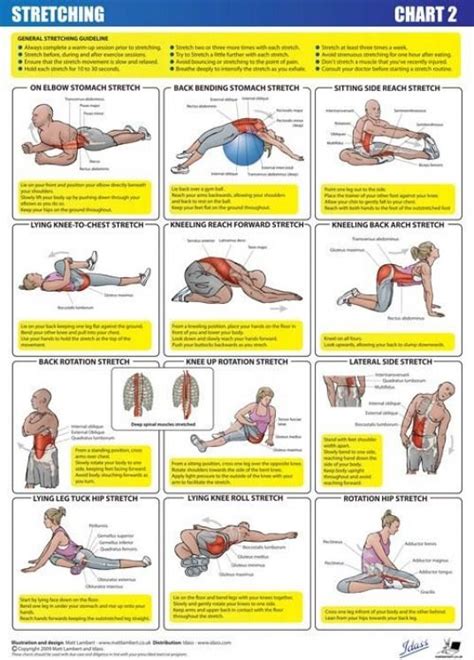 Pin on Psoas Release