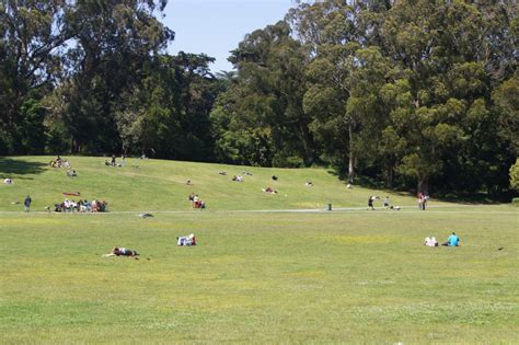 Celebration Kicks Off for 150th Anniversary of Golden Gate Park – NBC ...