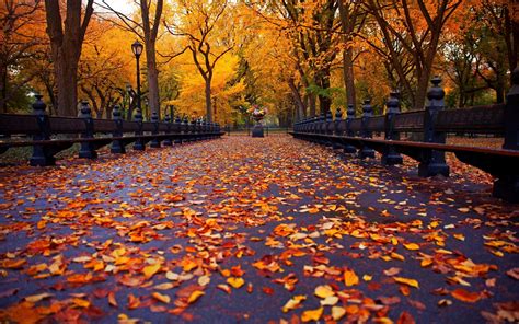 4k Autumn Central Park Wallpapers - Wallpaper Cave