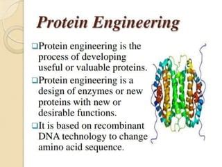 protein engineering | PPT