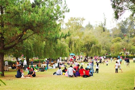 Burnham Park (Baguio City) | Philippines destinations, Baguio, Baguio city