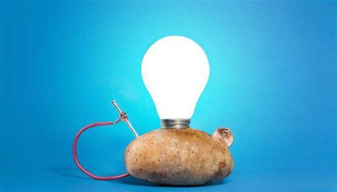 Potato Light Bulb Experiment for Kids | Potato light bulb, Light bulb science, Light science