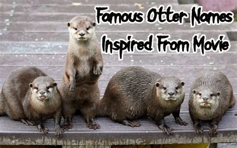 30+ Famous Otter Names Inspired From Movies | PetPress