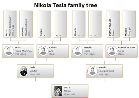 Nikola Tesla Family Tree