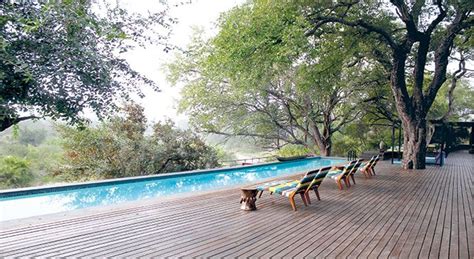 Mpumalanga Safari Lodge - Visi | Safari lodge, Wellness design, Safari