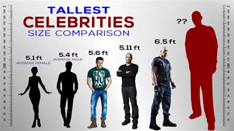 Tallest Celebrities Height Comparison - YouTube