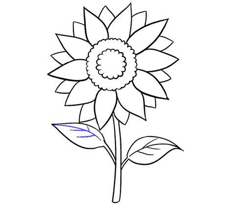 How to Draw a Sunflower | Easy Step by Step Drawing Guides Small Sunflower, Sunflower Pictures ...