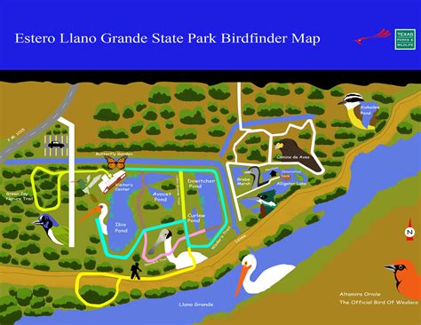 Estero Llano Grande Map by dj-vegan on DeviantArt