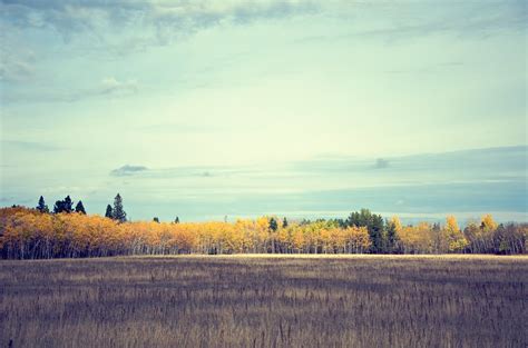 birds hill | bird's hill provincial park manitoba, canada | matt pearson | Flickr