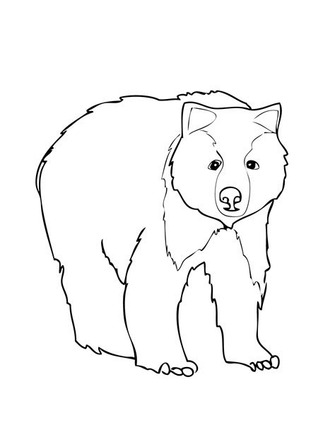 Printable Bear Coloring Pages