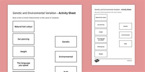 Genetic and Environmental Variation Match and Draw