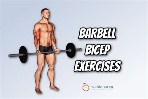 Best Bicep Workout Hotsell | www.aikicai.org