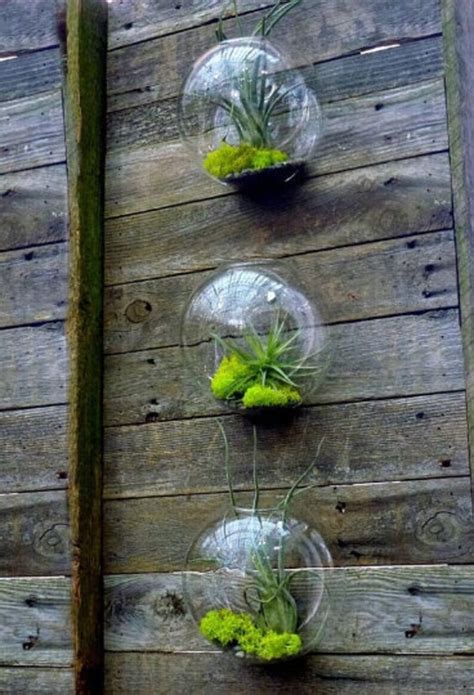 Set of 3 Bubble Terrariums Glass Wall Mounted Vase | Etsy