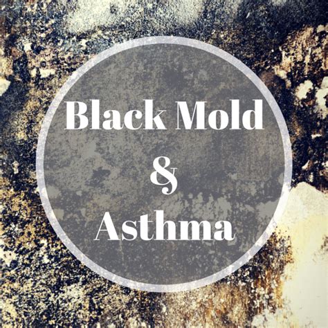 Mold Induced Asthma: Are Inhaled Mold Spores to Blame? - EnviroKlenz