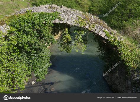 Old Stone Bridge Covered Ivy Background Mountain River — Stock Photo ...