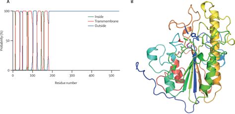 Emergence of plasmid-mediated colistin resistance mechanism MCR-1 in animals and human beings in ...