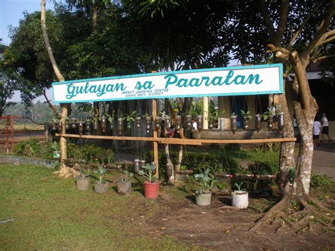 kathryn's blog: Gulayan Sa Paaralan @ Impact Learning Center