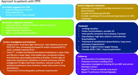 Diagnosis and management of patients with interstitial lung diseases in ...