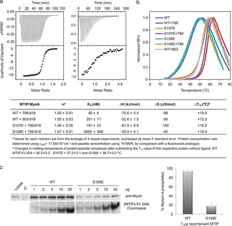 Thermodynamics of MTIP-MyoA analyzed by ITC, DSF, and parasite pulldown... | Download Scientific ...