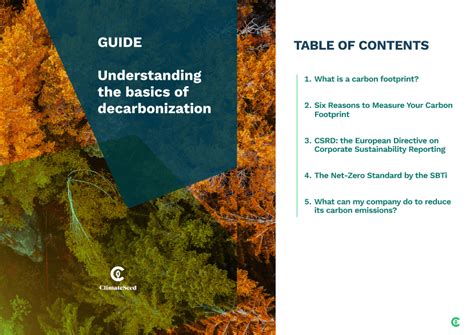 Free guide : Understanding the basics of decarbonization