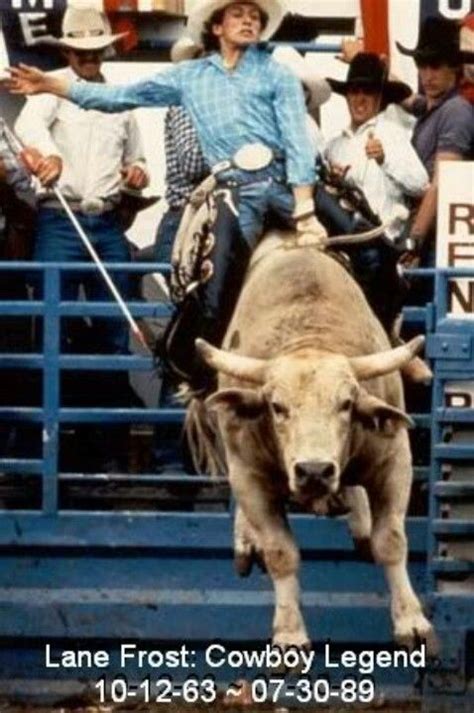 Legendary Bull Rider Lane Frost | Bull riders, Pbr bull riding, Pbr bulls