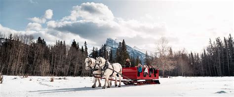 Sleigh Rides in Banff - Horse Drawn Sleigh Ride | Banff Trail Riders