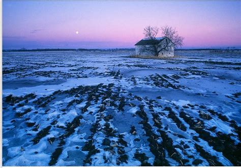 Winter in Alberta. I grew up in those Canadian prairies (but in ...