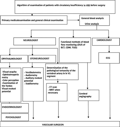 Frontiers | Diagnostic Investigations as a Basis for Optimising ...